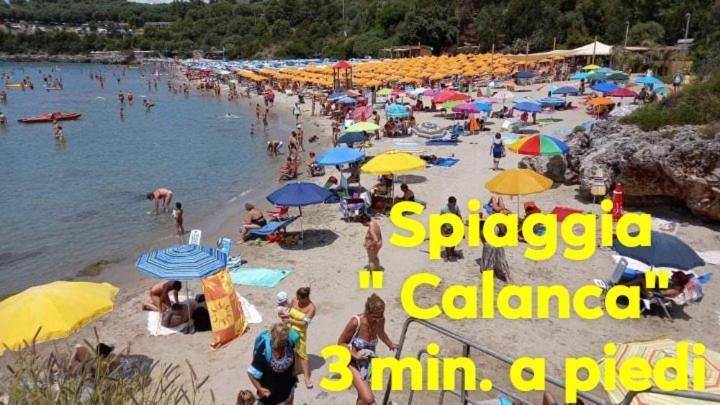 Cialoma Full Green Marina di Camerota Eksteriør billede