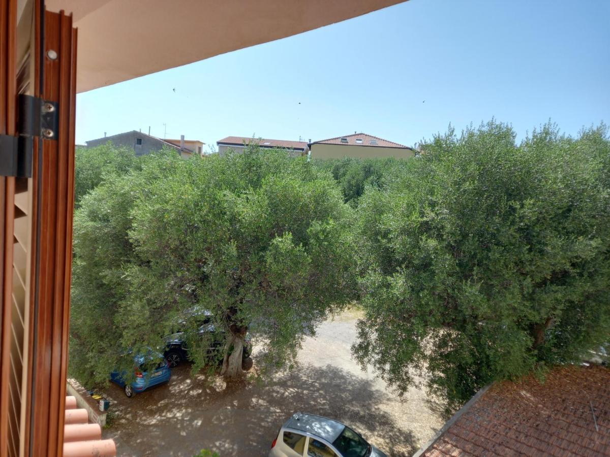 Cialoma Full Green Marina di Camerota Eksteriør billede