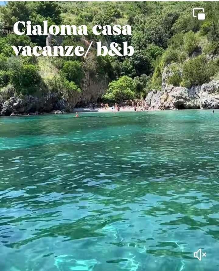 Cialoma Full Green Marina di Camerota Eksteriør billede