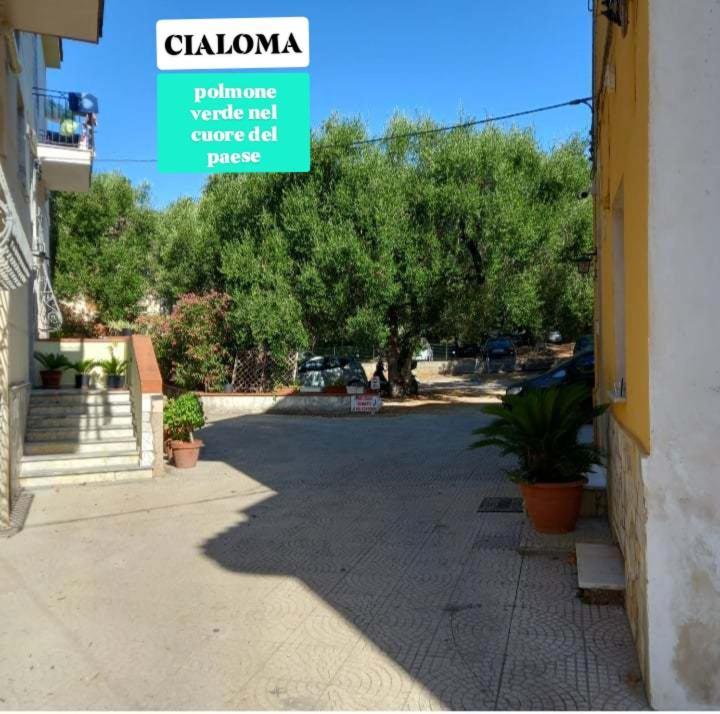 Cialoma Full Green Marina di Camerota Værelse billede
