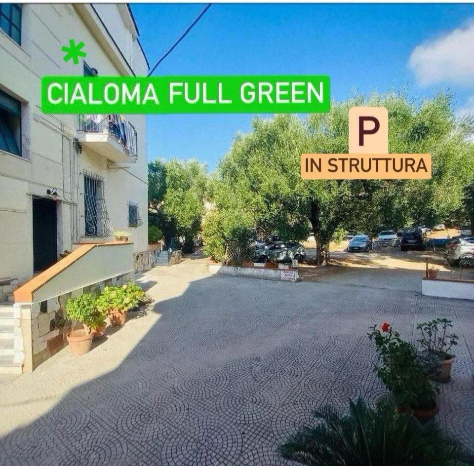 Cialoma Full Green Marina di Camerota Eksteriør billede