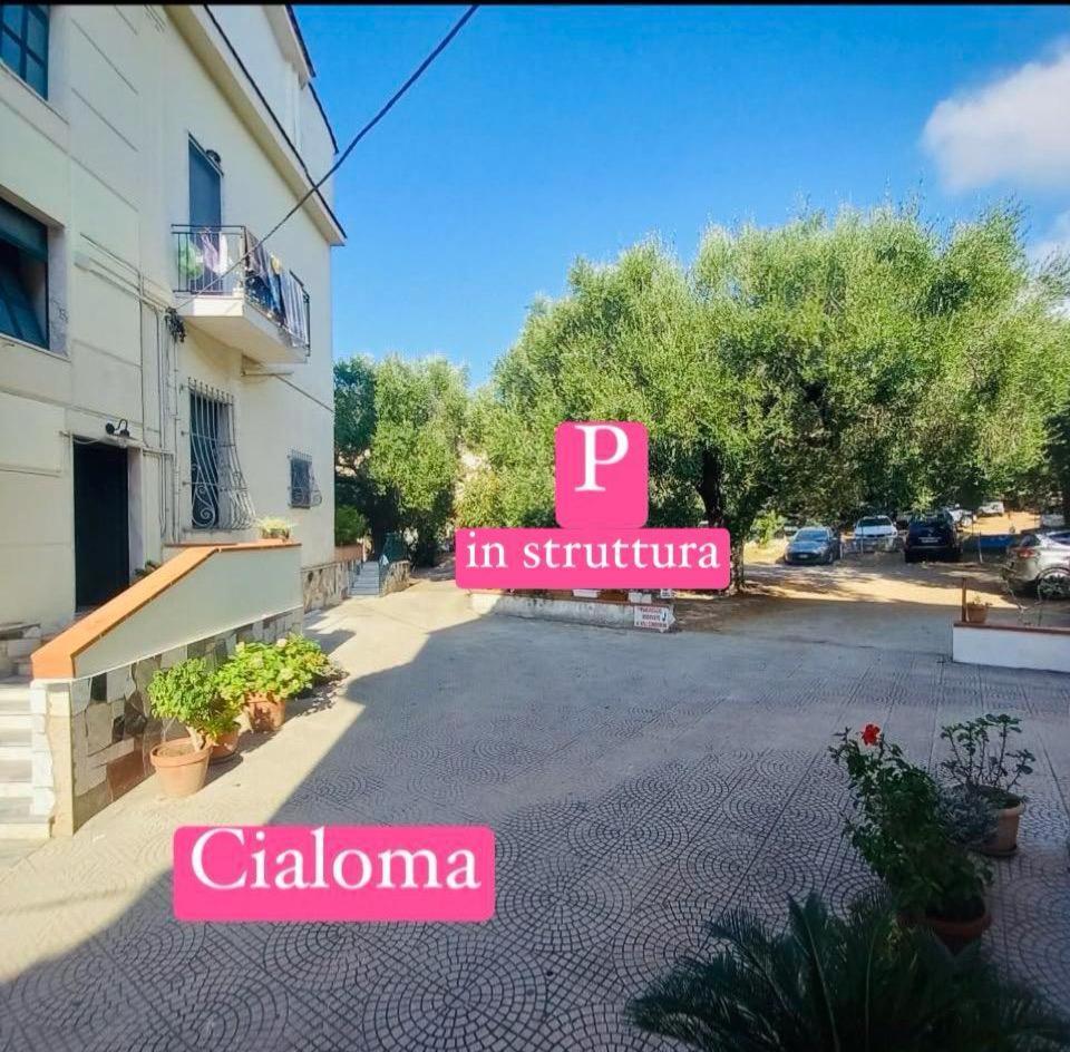 Cialoma Full Green Marina di Camerota Eksteriør billede